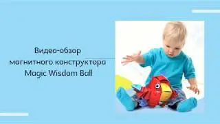 Магнитный конструктор Magic Wisdom Ball! Уже в Украине!