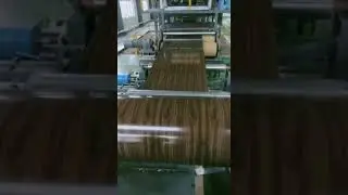 color coated aluminum coil