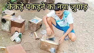 तेल के डिब्बे से केकड़े पकड़ने का नया जुगाड़ 🦀