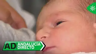 Andalucía Directo | Viernes 2 de enero