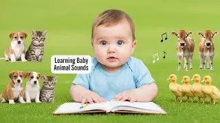 Top 100 Baby Animal Sounds Compilation | Super Cute Learning