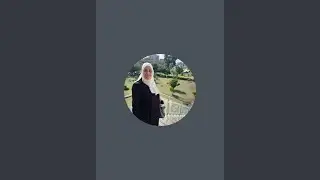 بدأت قناة 