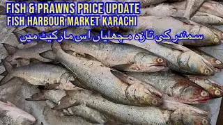 FISH & PRAWNS PRICE UPDATE KARACHI FISH HARBOUR MARKET February 7, 2026