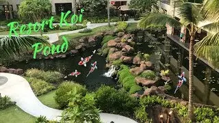 HAWAII RESORT KOI POND