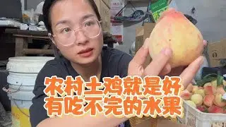 越南媳妇送货回来看到好好的桃子被鸡吃了，干脆都给它们加餐吧 #越南媳妇 #外国媳妇 #农村 #果农 #热门