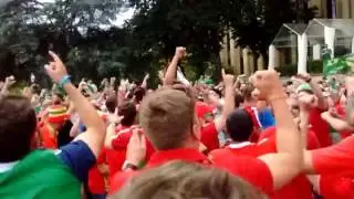 Will griggs on fire- Northern ireland vs wales, fans all join in!
