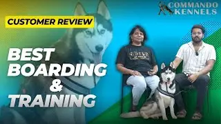 Hyperactive Husky Transformed | Success Story of Commando Kennels | Customer Testimonial