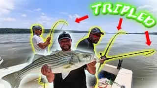 20 STRIPED BASS in 2 hours! INSANE HUDSON RIVER STRIPER FISHING! Constant action