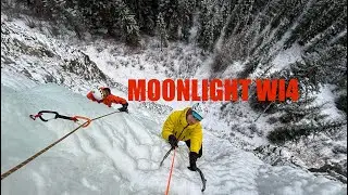 Moonlight WI4