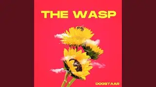 The Wasp