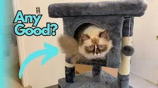 Everything to know on the Yaheetech Cat Tree Tower