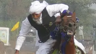 Jason and azadi 18 Aziz dadyal Kashmir#horse riding 2024