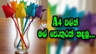 How to make a lotus flower from A4 sheet A4 කොළවලින් මලක් හදමු.