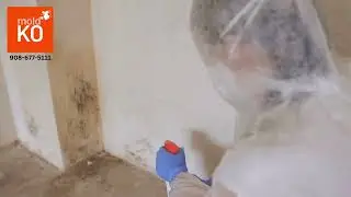 Mold Removal in Elizabeth, NJ | Mold KO