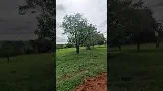 Deus e bom neh? O tempo todo