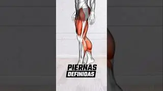La mejor rutina para piernas definidas en casa. 🦵 SIN EQUIPO