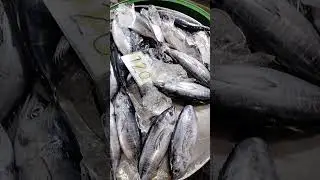 tulingan fish 🐟#satisfying #shorts