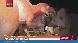 Experience 'Dinosaurs after Dark' at the Arizona Museum of Natural History