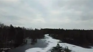 Winter swamp
