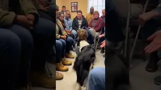 Dog Adoption Stories : He Know Who To Choose 🐕🐩