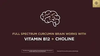 Solgar Brain Works