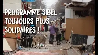 Transformation 2022 : Hacad&eacute;mie, SIBEL, Acina et ARES Unissent leurs Forces pour un Impact Durable !