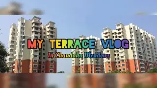 Vlog in Terrace in Apartment.