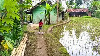 Ikuti Aku Menyusuri Jalan Setapak Menuju Kampung Terpencil