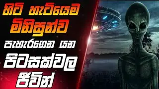 පරීක්ෂණ සදහා මිනිසුන්ව පැහැරගෙන යන පිටසක්වල ජීවීන් (PROXIMITY)😱 | Full Movie Recap sinhala🎥 