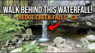 🌊 WALK BEHIND A WATERFALL! | Hedge Creek Falls Hike (Dunsmuir, CA) 🌲✨