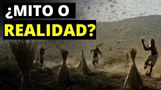 Las 10 plagas de Egipto: ¿Mito o realidad?🔺🦗