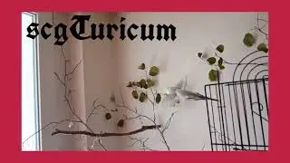 Cool.V&ouml;gel im Slowmotion Flug🤗👍🤜🤛🤣