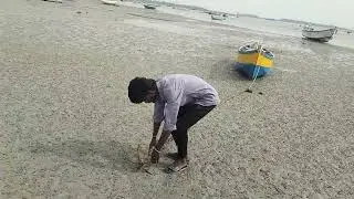 Sea shore#pamban #rameswaram #seadry#fishing #viral 