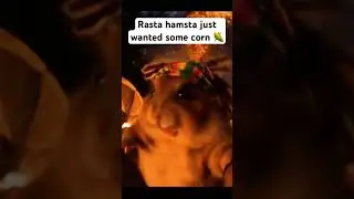 Rasta hamsta just wanted some corn 🌽 #ai #viralshort #virtualreality #hamster #shorts