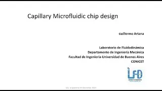Capillary Microfluidic Chip Design