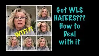 VSG 2018 ~ WLS ~ Got Haters ?? Try this...