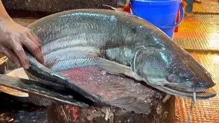 Amazing Big Boal Fish Cutting In Bangladesh Fish Market | Catfish Cutting Skills