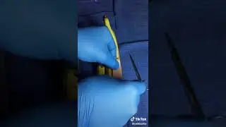 Bokep