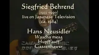 Siegfried Behrend play Hans Neusidler live on Japanese TV (ca. 1985)