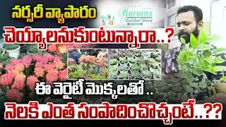 నర్సరీ వ్యాపారం చెయ్యాలనుకుంటున్నారా..? | How Much Can You Earn Per Month | Trees | Rythanna Nestam