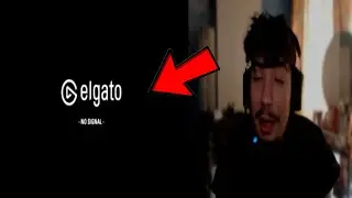 Salbaticul s-a speriat și a ieșit din cauza FRUMOSULUI asta!