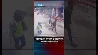 টুন্ডা বাবু এবং রাফাতকে ৬ সহযোগীসহ গ্রেফতার&nbsp;করেছে&nbsp;র&zwnj;্যাব-২