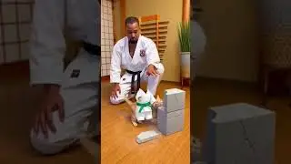 JUST INSANE😹 Watch This Hilarious Cat Fail #cat #funny #pets
