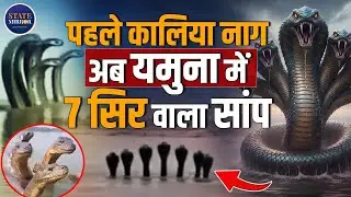 7 Headed Naag Spotted in Yamuna River Again? | Viral Video | Vrindavan | Sparks Panic | Social Viral