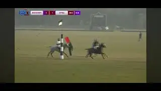 Subscribe for more videos 🚨🚨🚨 #horse #equestrian#horsefan#polo#2026#lifeisbutadream