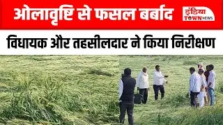Punasa News: पुनासा-मांधाता में ओलावृष्टि और आंधी से फसल बर्बाद, किसानों ने की मुआवजे की मांग