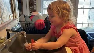 #DITL Extreme Frugal Homesteading | Simple Cheap Meals and a Chicken 