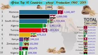 Africa  Top  10  Countries - wheat   Production