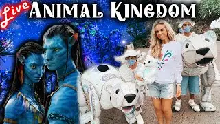 🔴LIVE: Animal Kingdom Holiday Displays, Meet the Animals, New Avatar & Pandora Show, and Ride POV!