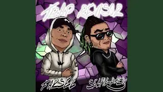 TRAP REVISOR